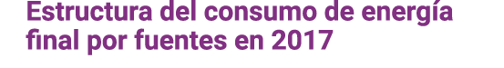 Estructura del consumo de energ a final por fuentes en 2017 
