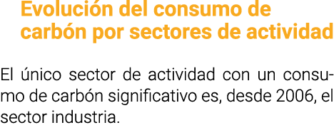 Evoluci n del consumo de carb n por sectores de actividad El  nico sector de actividad con un consumo de carb n signi   