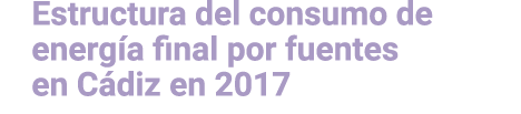 Estructura del consumo de energ a final por fuentes en C diz en 2017 