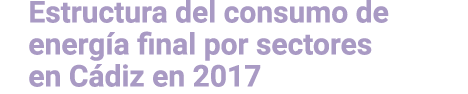 Estructura del consumo de energ a final por sectores en C diz en 2017 