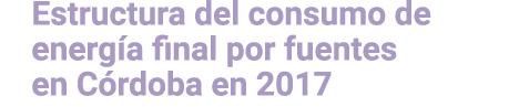 Estructura del consumo de energ a final por fuentes en C rdoba en 2017 