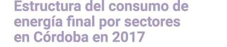 Estructura del consumo de energ a final por sectores en C rdoba en 2017 