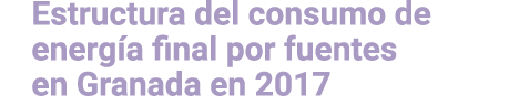 Estructura del consumo de energ a final por fuentes en Granada en 2017 