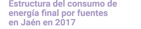 Estructura del consumo de energ a final por fuentes en Ja n en 2017 