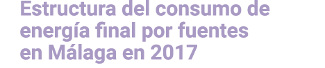 Estructura del consumo de energ a final por fuentes en M laga en 2017 
