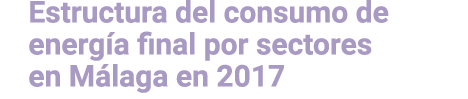 Estructura del consumo de energ a final por sectores en M laga en 2017 