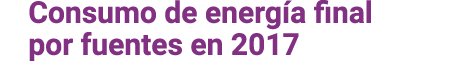 Consumo de energ a final por fuentes en 2017 