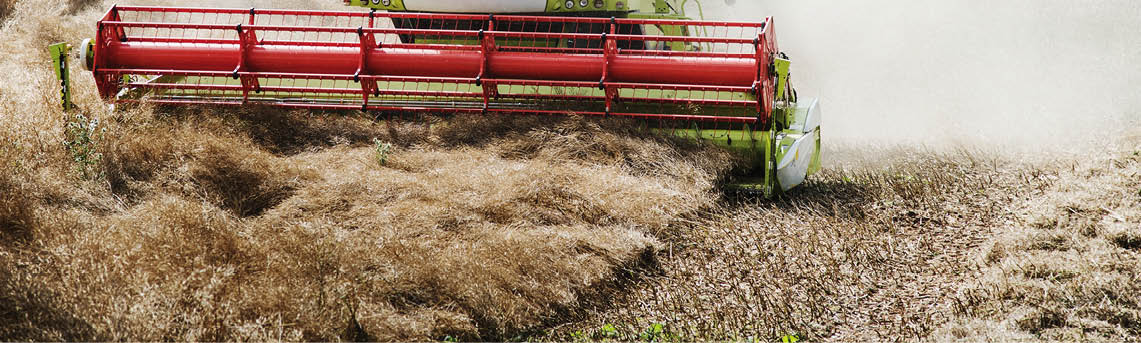 Combine harvester machine