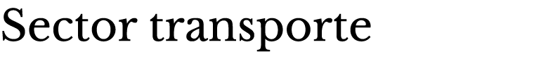 Sector transporte 