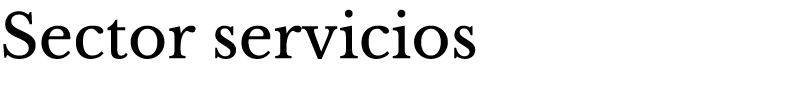 Sector servicios 