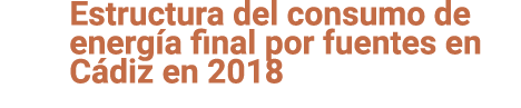 Estructura del consumo de energ a final por fuentes en C diz en 2018 