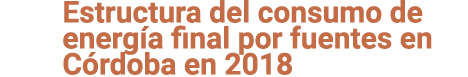 Estructura del consumo de energ a final por fuentes en C rdoba en 2018 
