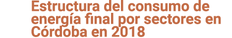 Estructura del consumo de energ a final por sectores en C rdoba en 2018 