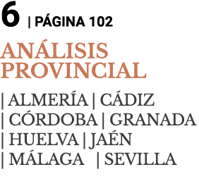 6   P GINA 102 AN LISIS PROVINCIAL   ALMER A   C DIZ           C RDOBA   GRANADA      HUELVA   JA N               M L   