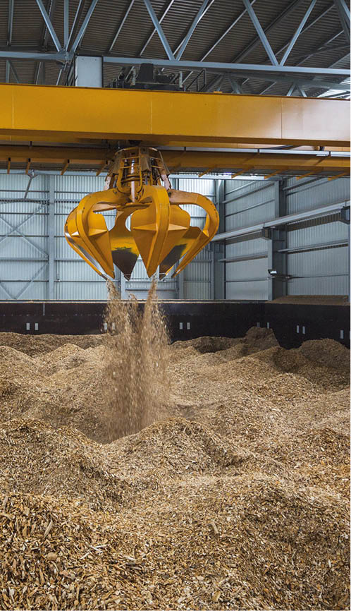 Biofuel boiler house  storage of wood chips