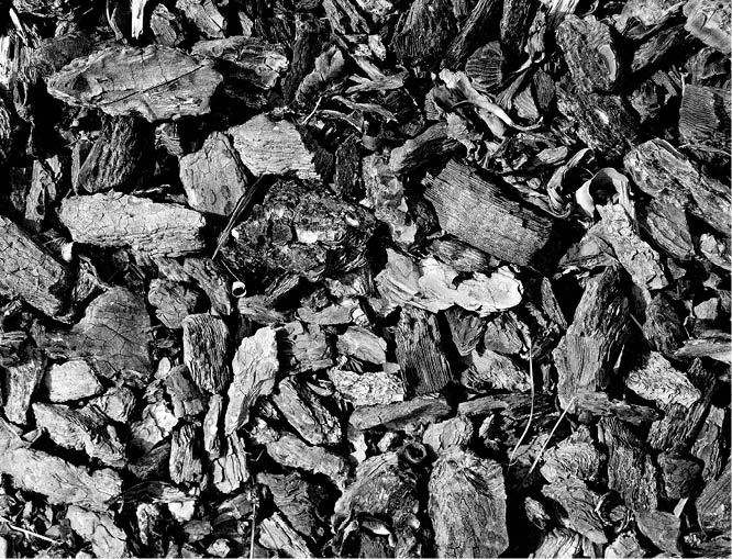 coal pieces texture