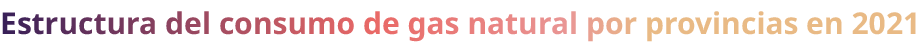Estructura del consumo de gas natural por provincias en 2021