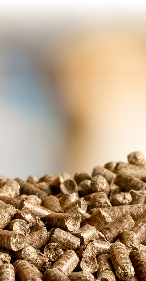 Pellets biomass close up on a blurred background