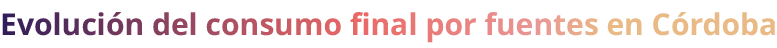Evoluci n del consumo final por fuentes en C rdoba
