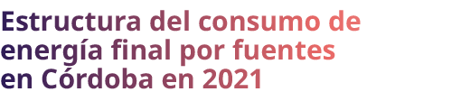 Estructura del consumo de energ a final por fuentes en C rdoba en 2021