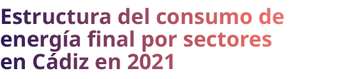 Estructura del consumo de energ a final por sectores en C diz en 2021