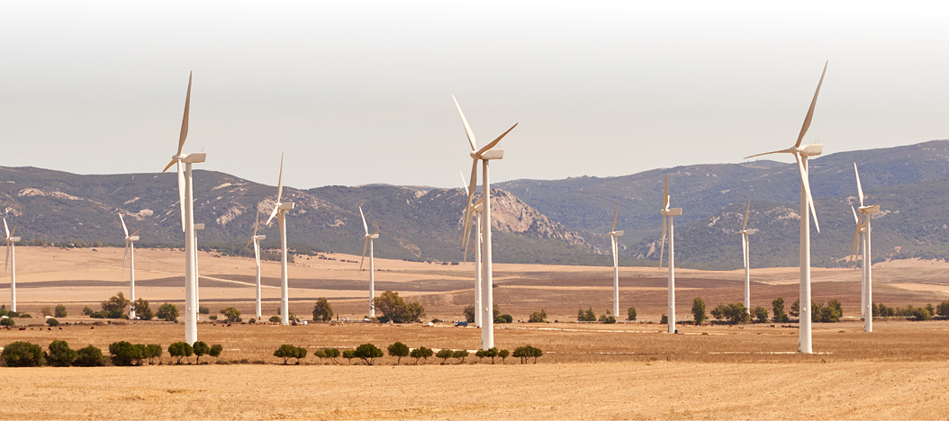 Field full of wind turbines producing electricity. Concept of renewable energies. Cadiz, Spain.