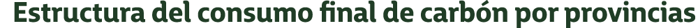 Estructura del consumo final de carb n por provincias 