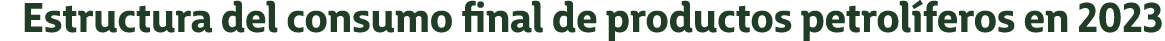 Estructura del consumo final de productos petrol feros en 2023
