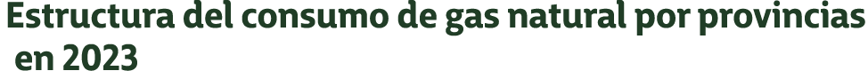 Estructura del consumo de gas natural por provincias en 2023