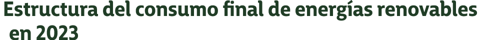 Estructura del consumo final de energ as renovables en 2023
