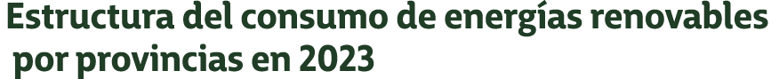 Estructura del consumo de energ as renovables por provincias en 2023