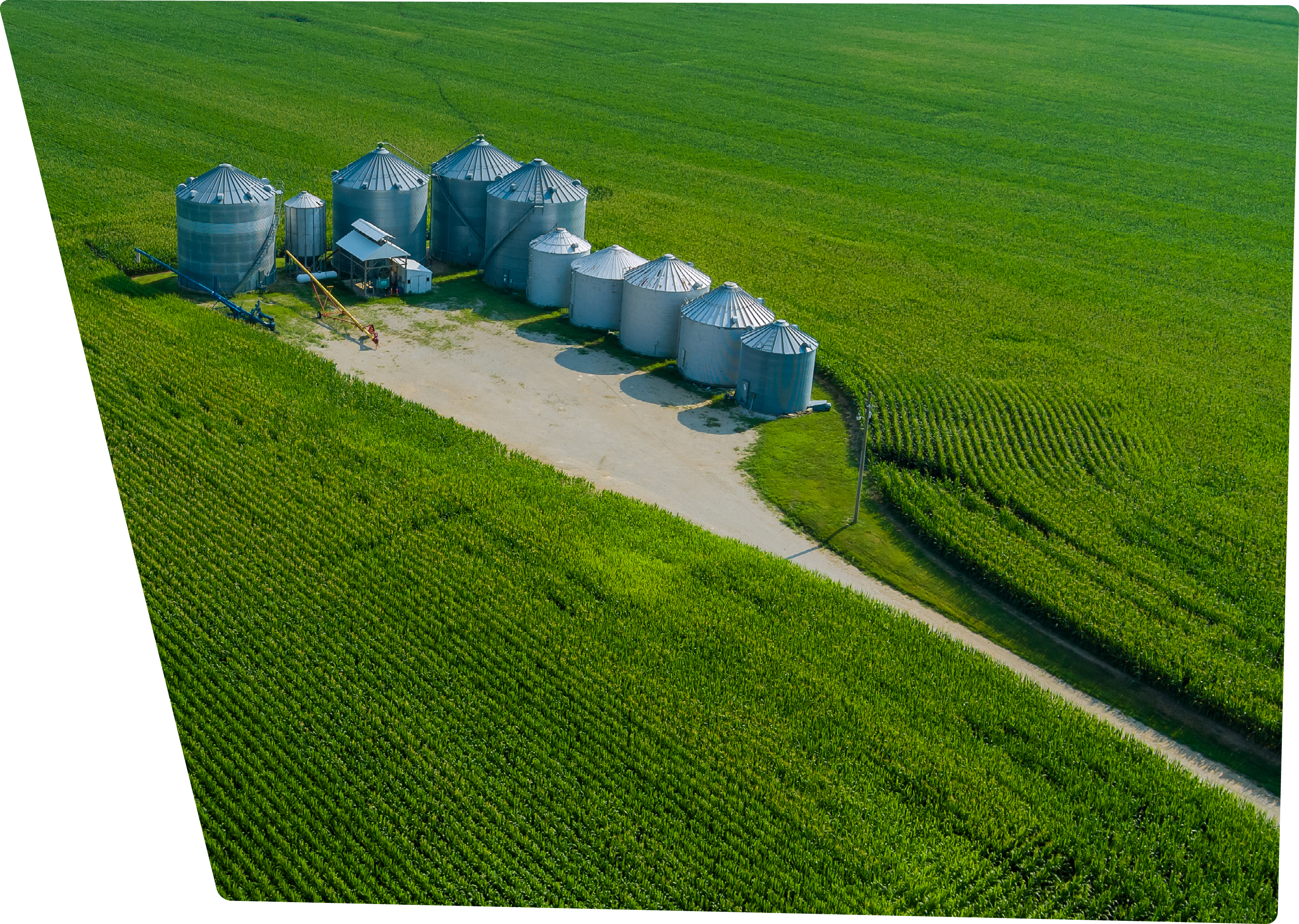 Agro plant elevator processing silos for drying cleaning storage of agricultural products grain in the US