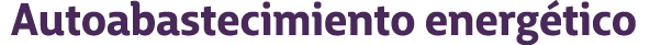 Autoabastecimiento energ tico