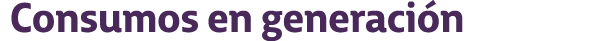 Consumos en generaci n