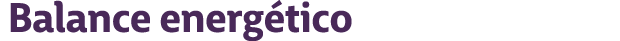 Balance energ tico 