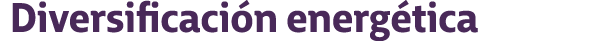 Diversificaci n energ tica