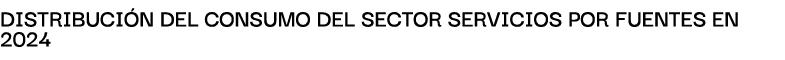 Distribuci n del consumo del sector servicios por fuentes en 2024