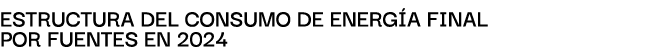 ESTRUCTURA DEL CONSUMO DE ENERG A FINAL POR FUENTES EN 2024