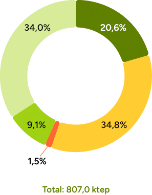 1,5%,34,0%,9,1%,34,8%,20,6%,Total: 807,0 kte