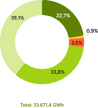 22,7%,39,1%,33,8%,0,9%,3,5%,Total: 33.671,4 GW