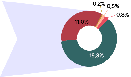 0,2%,0,5%,0,8%,11,0%,19,8