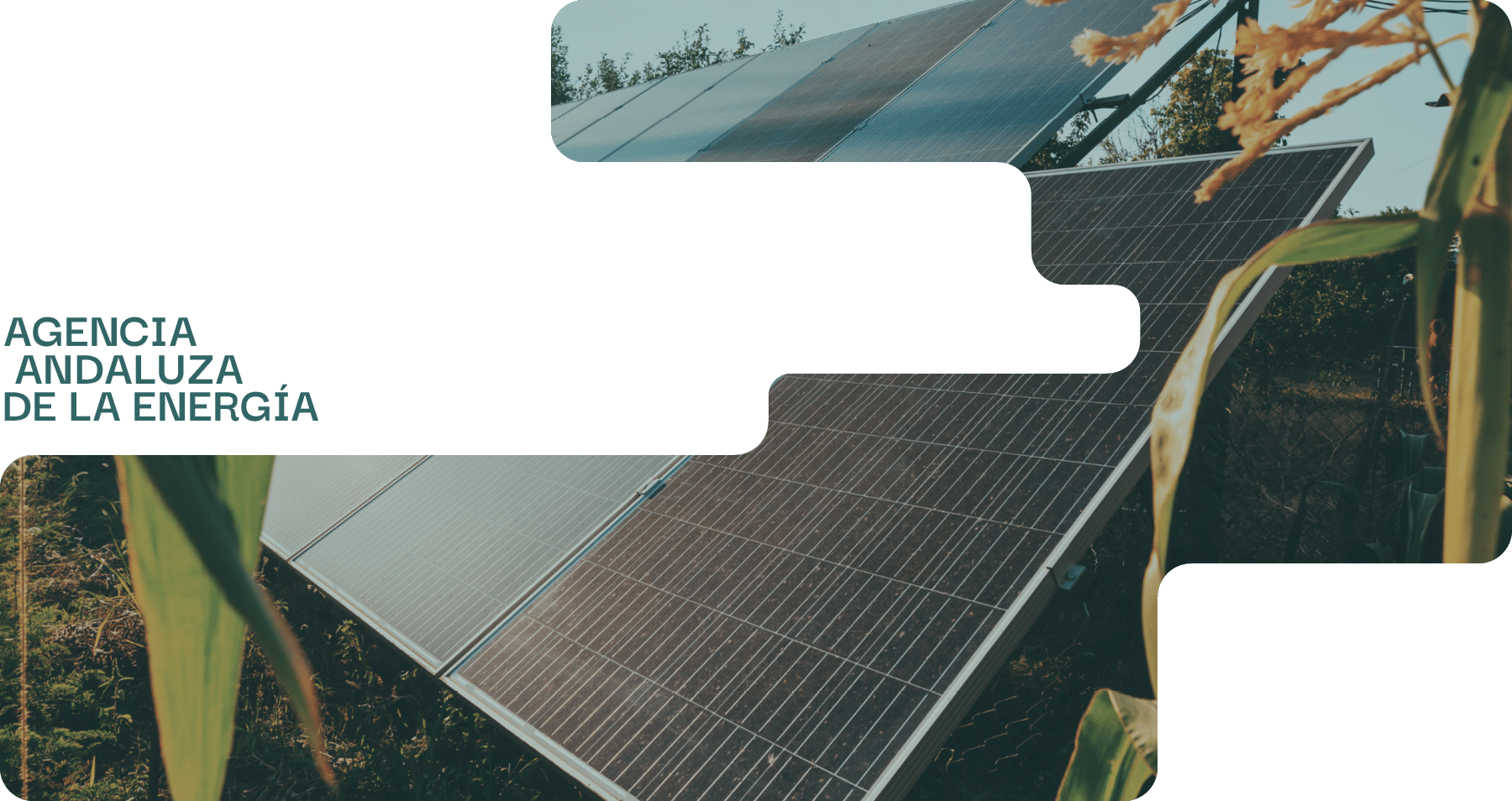de la energ a, andaluza,agenci