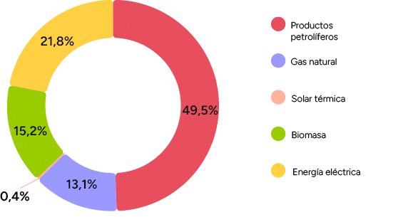 Energ a el ctrica,Biomasa,Gas natural,Solar t rmica,Productos petrol feros,0,4%,13,1%,21,8%,15,2%,49,5