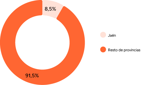 8,5%,91,5%,Resto de provincias,Ja 