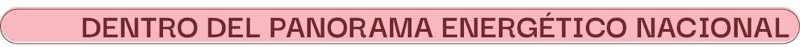 dentro del panorama energ tico naciona