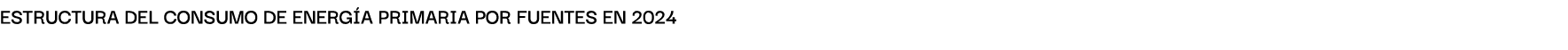 Estructura del consumo de energ a primaria por fuentes en 2024