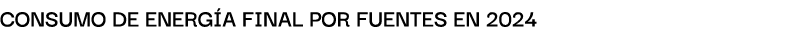 Consumo de energ a final por fuentes en 2024
