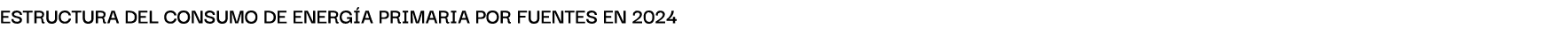 EstructurA del consumo de energ A primAriA por fuentes en 2024