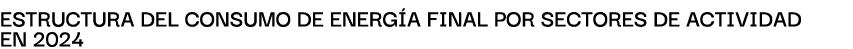 Estructura del consumo de energ a final por sectores de actividad en 2024