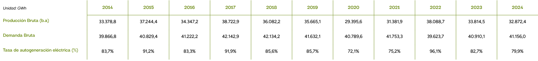 Unidad: GWh,2014,2015,2016,2017,2018,2019,2020,2021,2022,2023,2024,Producci n Bruta (b.a),33.378,8,37.244,4,34.347,2,...